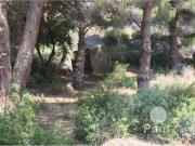 Terreno industrial en Venta en Premià de Dalt