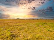 Terreno industrial en Venta en Zona Poniente de...
