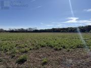 Terreno industrial en Villa Gran Parque