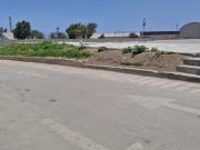 TERRENO INDUSTRIAL EXCELENTE UBICACION