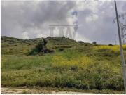 Terreno Industrial, Frielas, Loures, 1.680 m2