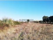 Terrenol na Zona de Sintra