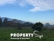 Terreno Industrial Paine