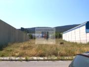 TERRENO INDUSTRIAL ZONA BENIATA