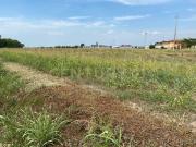 Terreno Industriale nuovo in via le cassere, Oppeano