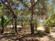 Terreno, Isla Cristina