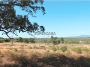 Terreno isolado com Sobreiros em Barão de São João