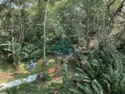 Terreno, Itamambuca, Ubatuba R$ 160 mil, Cod: 2538