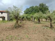 Terreno, Jarandilla de la Vera