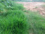 Terreno Jardim ConceiÃ§Ã£o Sousas Campinas