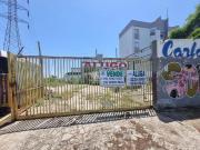 Terreno Jardim Cura D'Ars Campinas