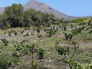 Terreno, Jávea/Xàbia