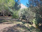 Terreno, Jávea/Xàbia