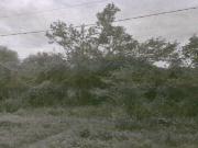 Terreno Juárez