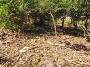 TERRENO JUNTO A AVENIDA BOA SAÚDE BAIRRO RINCÃO