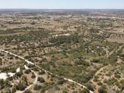 Terreno, junto ao Golfe Palmares, em Lagos, Algarve