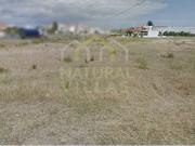 Terreno junto EN125, Vale da Venda, Almancil, Loul