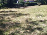TERRENO JURICA CAMPESTRE