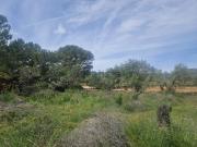 Terreno, L&apos Ametlla de Mar