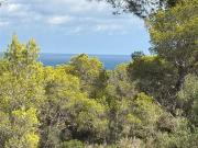 Terreno, L&apos Ampolla