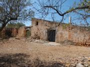 Terreno, L&apos Ampolla