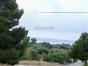 Terreno, L&apos Ampolla