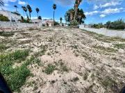 Terreno, La Albufereta, Alicante / Alacant