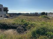 Terreno, La Bisbal del Penedès