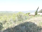 Terreno, La Bisbal del Penedès