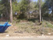 Terreno, La Bisbal del Penedès