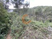 Terreno, La Bisbal del Penedès