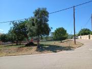 Terreno, La Bisbal del Penedès