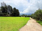 TERRENO LA CUADRILLA