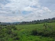 Terreno “La Goleta Charo Cañadas del Bosque”