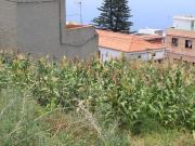 Terreno, La Matanza de Acentejo