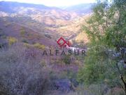 Terreno, La Mosca, Málaga