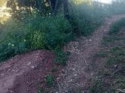 Terreno, La Mosca, Málaga