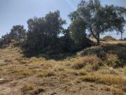 TERRENO LA POSTA TIZAYUCA HIDALGO SUP. 4,500 MTS