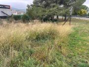 Terreno, La Punxa Bòbila Nova Mas Mascort, Palafrugell