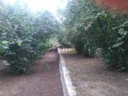 Terreno, La Selva del Camp