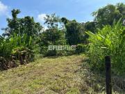 Terreno lado par, a 60m do mar, na praia de Itamambuca