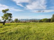 Terreno, Lagoa e Carvoeiro