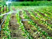 Terreno, Lagos São Sebastião e Santa Maria, Lagos | BPI...