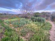 Terreno, Lajeosa Do Dão, Tondela | BPI Expresso Imobiliário