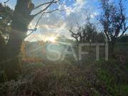 Terreno, Lajeosa Do Dão, Tondela | BPI Expresso Imobiliário