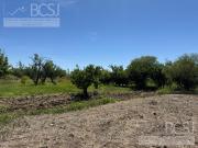 Terreno Las Lomitas, Albardon