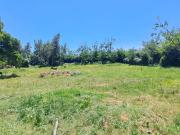 TERRENO LAS VISCACHAS