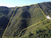 Terreno Laurissilva Santana