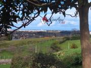 Terreno, Lavandera Fano Baldornon, Gijón