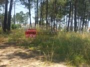 Terreno Leiria